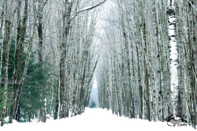 Photos by Chad Johnson