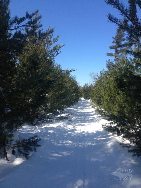 Photo by Bryant Weathers