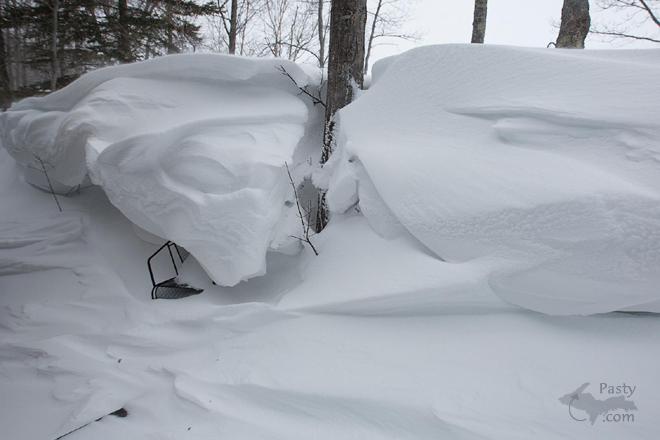 Photo by Shawn Malone