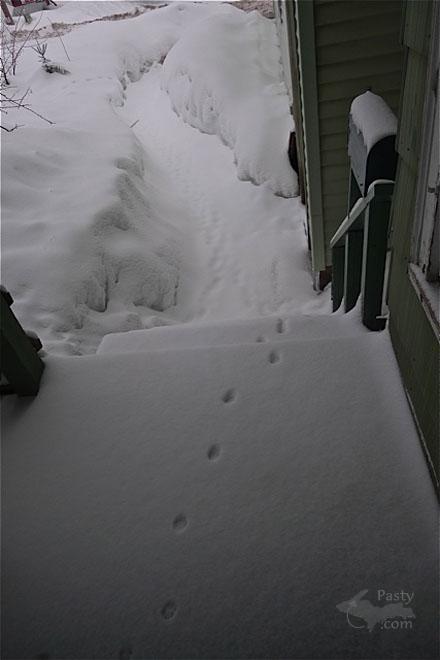 Photos by Joe Kirkish