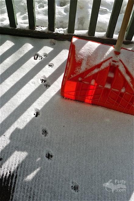 Photos by Joe Kirkish