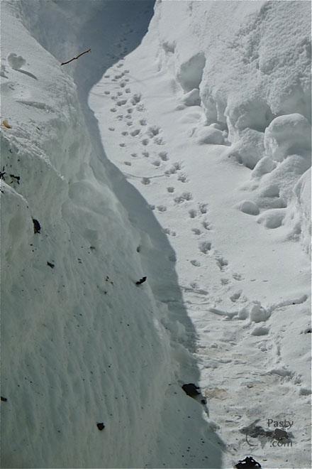 Photos by Joe Kirkish