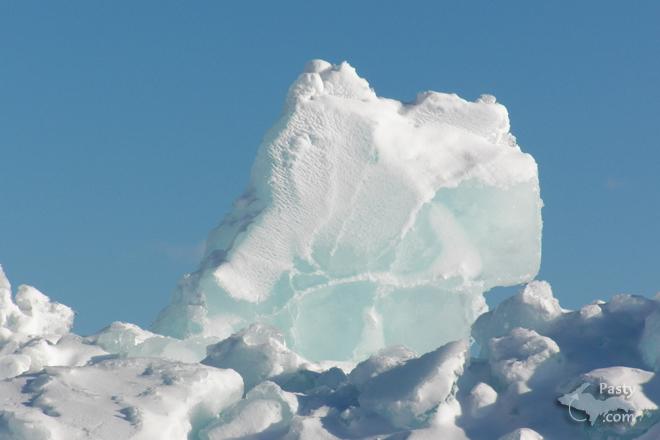 Photos by Brenda Leigh