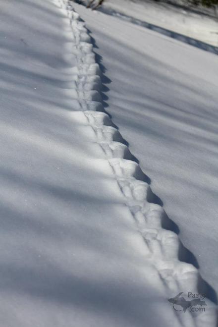 Photos by Melanie Hakala Rossi