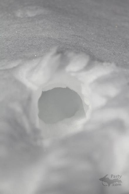 Photos by Melanie Hakala Rossi