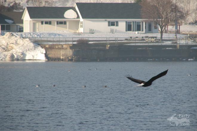 Photo by Susan Hooker