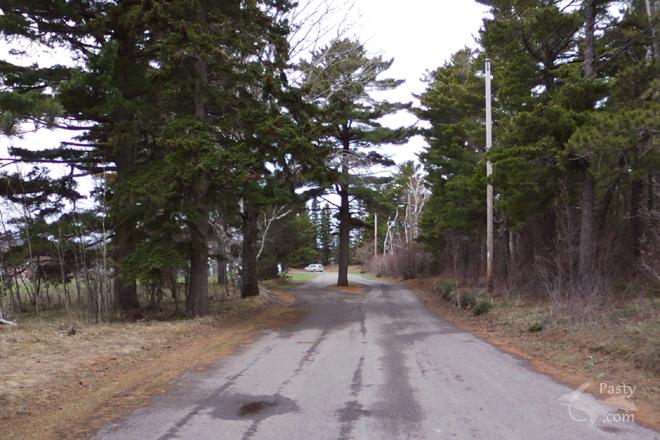 Photo by Bob Williams