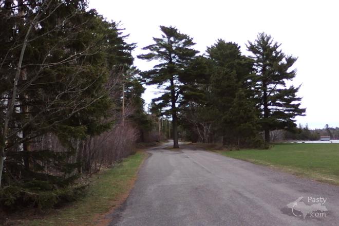 Photo by Bob Williams