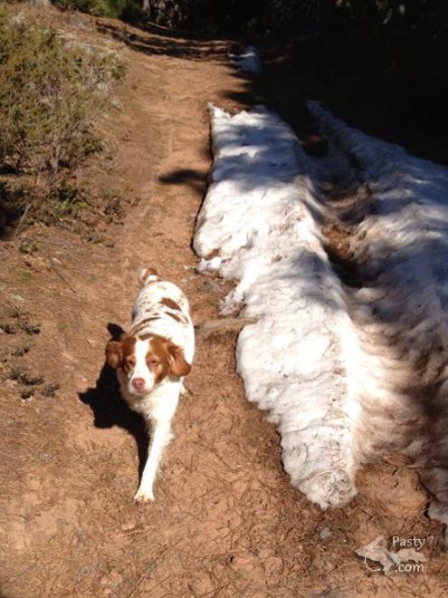 Photo by E. Neil Harri