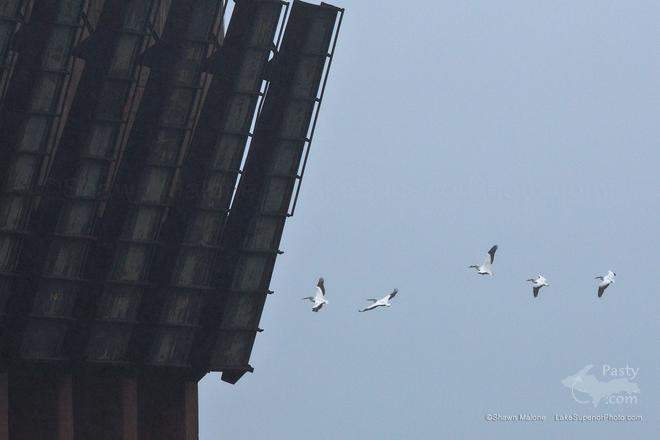 Photo by Shawn Malone