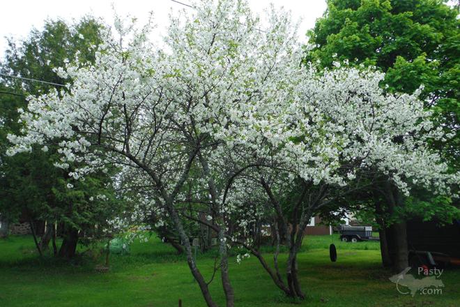 Photo by Lindsay White