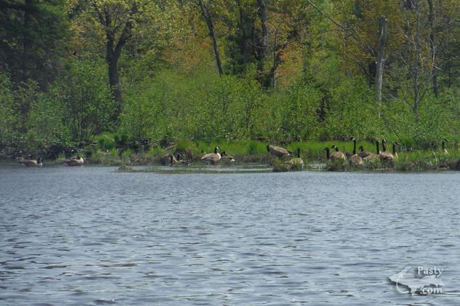 Photo by Lindsay White