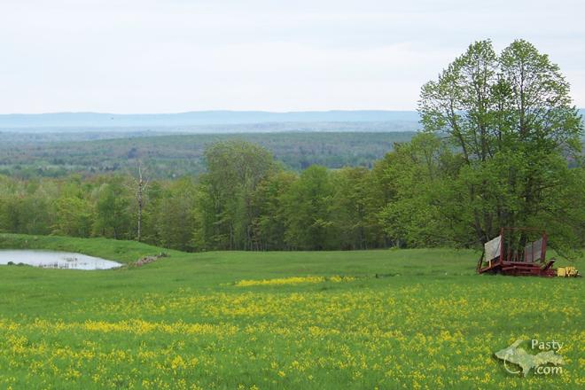 Photos by Marsha Galbraith