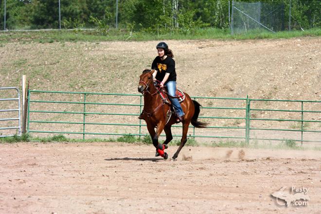 Photos by Taana Kalliainen