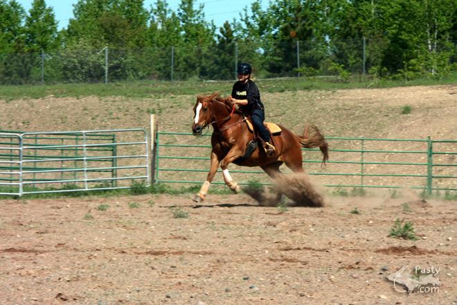 Photos by Taana Kalliainen