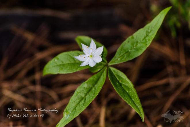 Photo by Mike Schneider