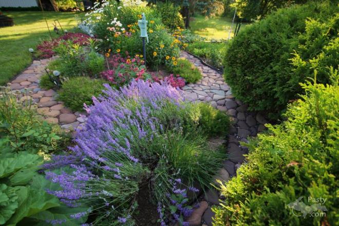 Photos by Melanie Hakala Rossi