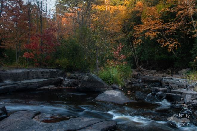 Photos by Aladino Mandoli