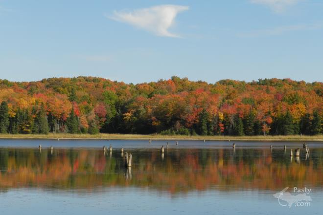 Photos by Marilyn Bachorik