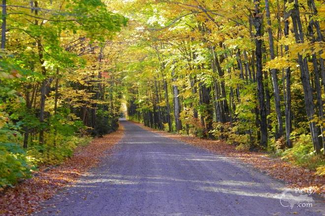 Photos by Ron Simons