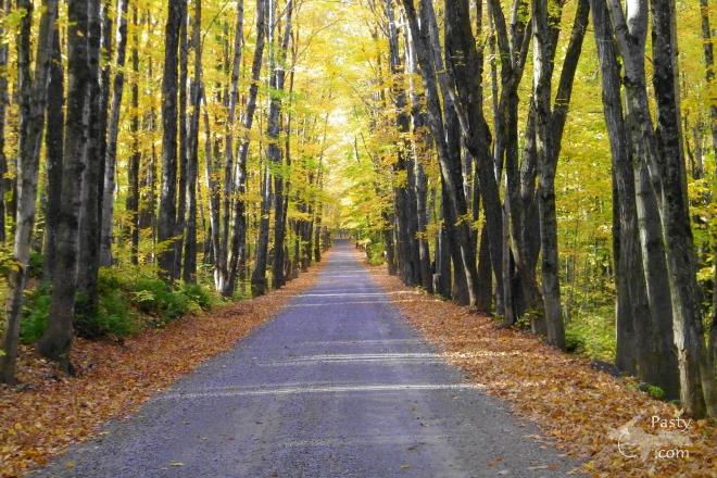 Photos by Ron Simons