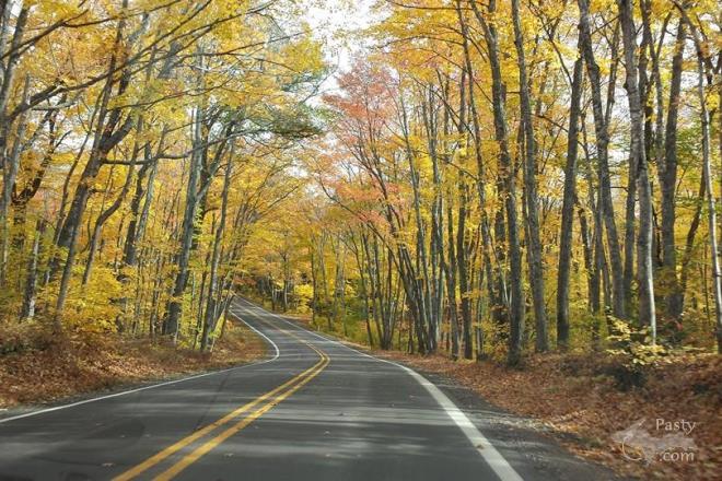 Photos by Sally Beaudette