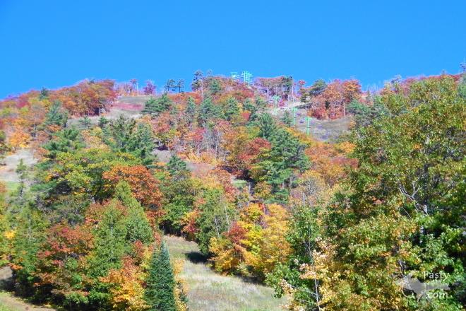 Photos by Deb & Ron Simons