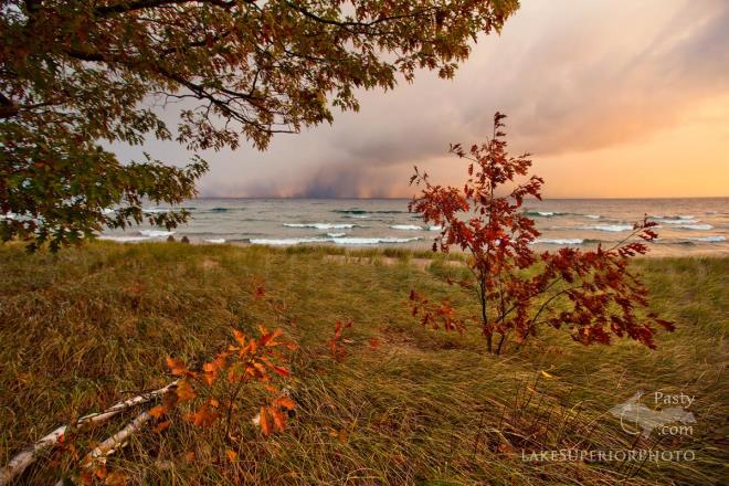 Photos by Shawn Malone