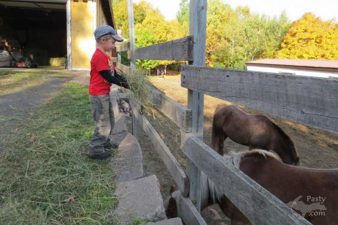 Photos by Mary Schmitt