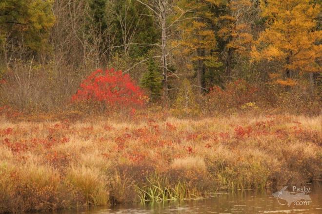 Photos by Melanie Hakala Rossi