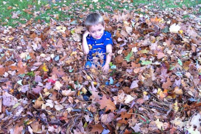 Photos by Kathy Archambeau