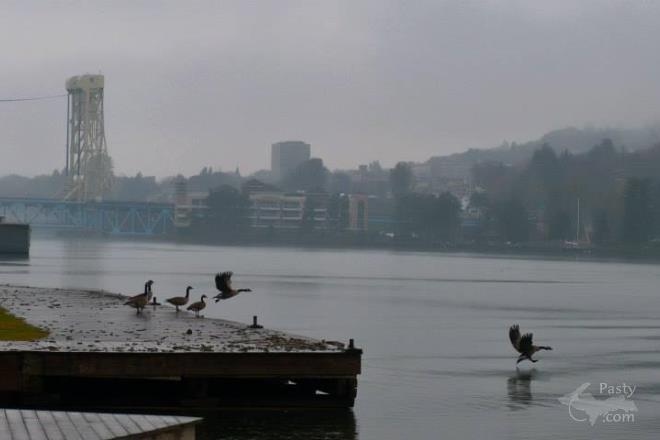 Photos by Aladino Mandoli