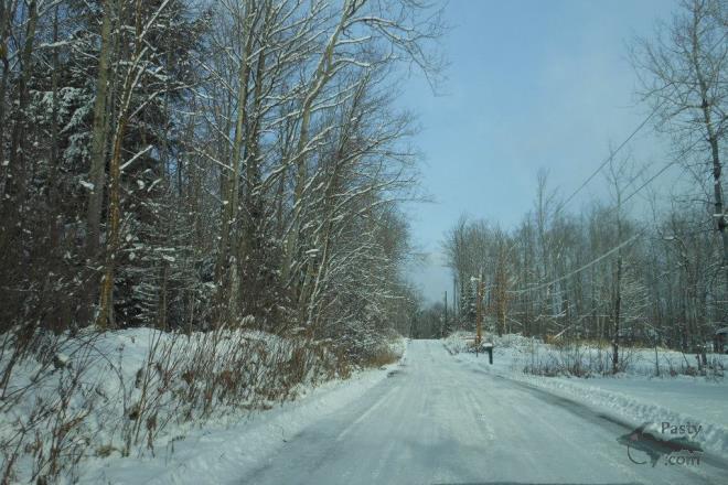 Photos by Donna MacIntosh