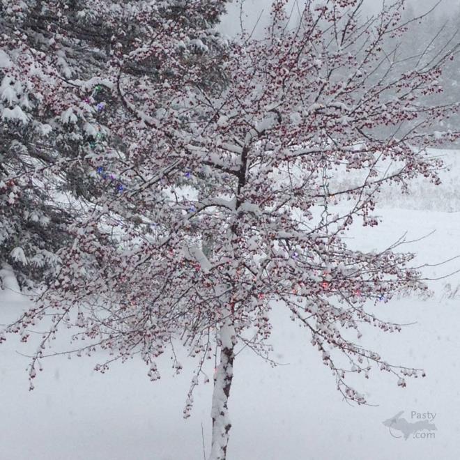 Photos by Judy Byykkonen