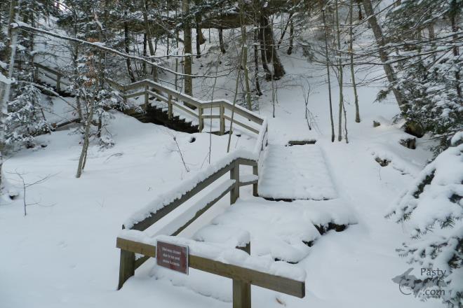 Photos by Marilynn Bachorik