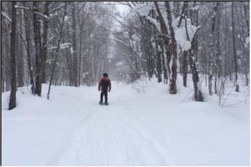 Heading to the falls