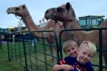 Exotic animals and kids