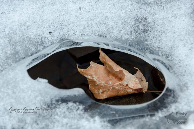 Photos by Mike Schneider