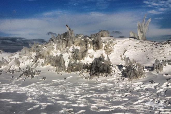 Photos by Danielle Adams