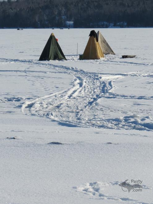 Photos by Emma Stout