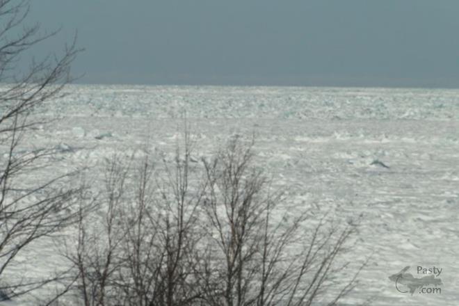 Photos by Frank Jezek