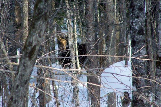 Photos by Jodi Corrigan