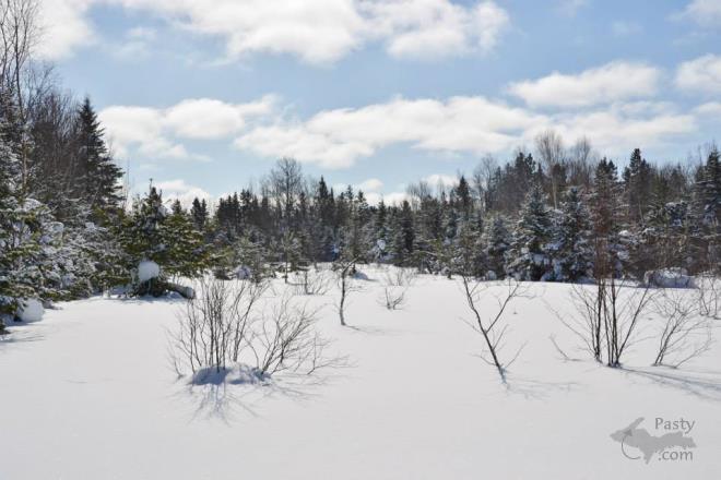 Photos by Judy Byykkonen