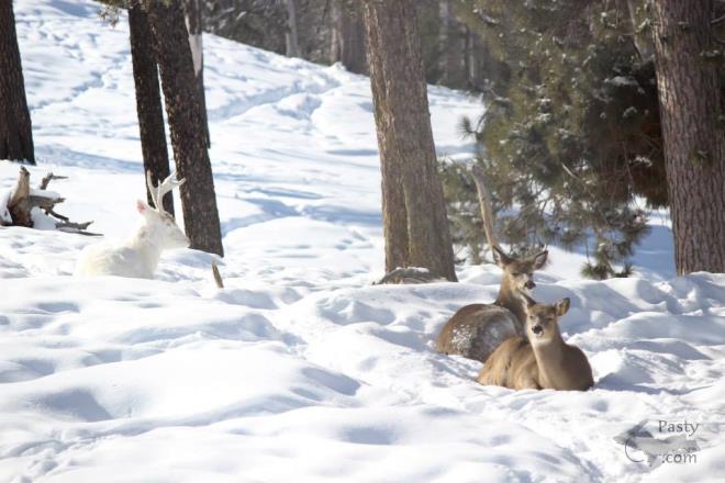 Photos by Melody Provost Holmes