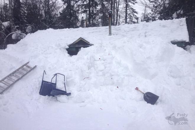 Photo by Dylan Cruickshank