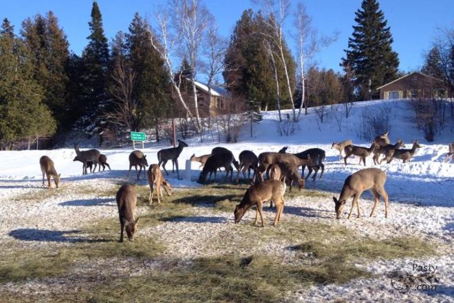 Photos by Liz Baumann