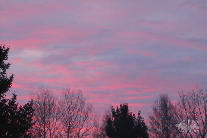 Photos by Kelly Sullivan