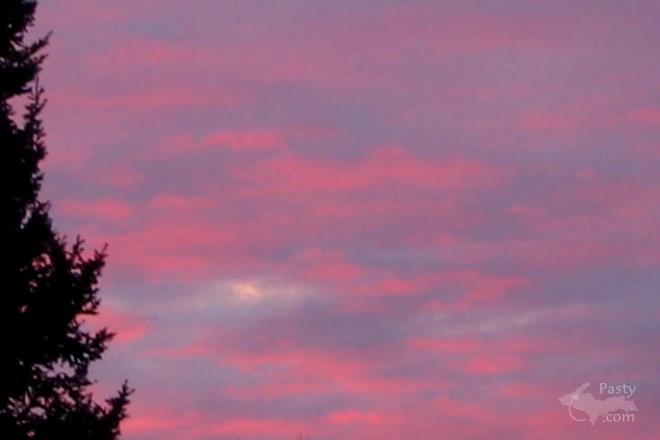 Photos by Kelly Sullivan