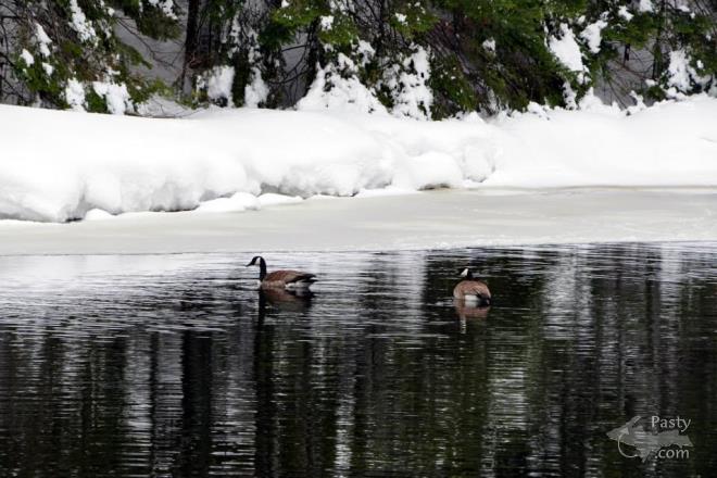 Photos by Bob Gilreath