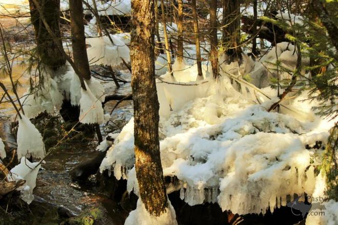 Photos by Melody Provost Holmes